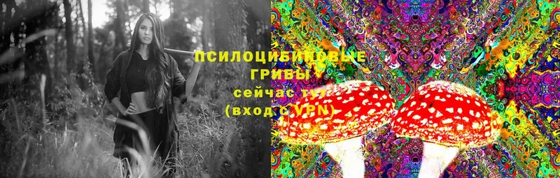 Псилоцибиновые грибы MAGIC MUSHROOMS  Лысьва 