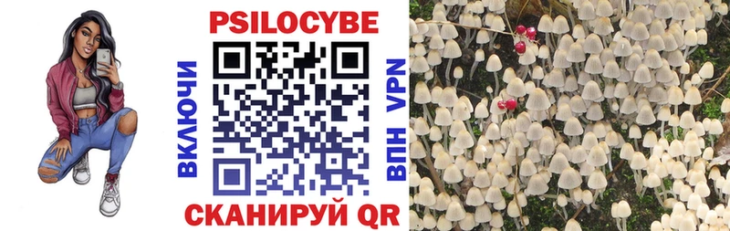 Галлюциногенные грибы Cubensis Лысьва