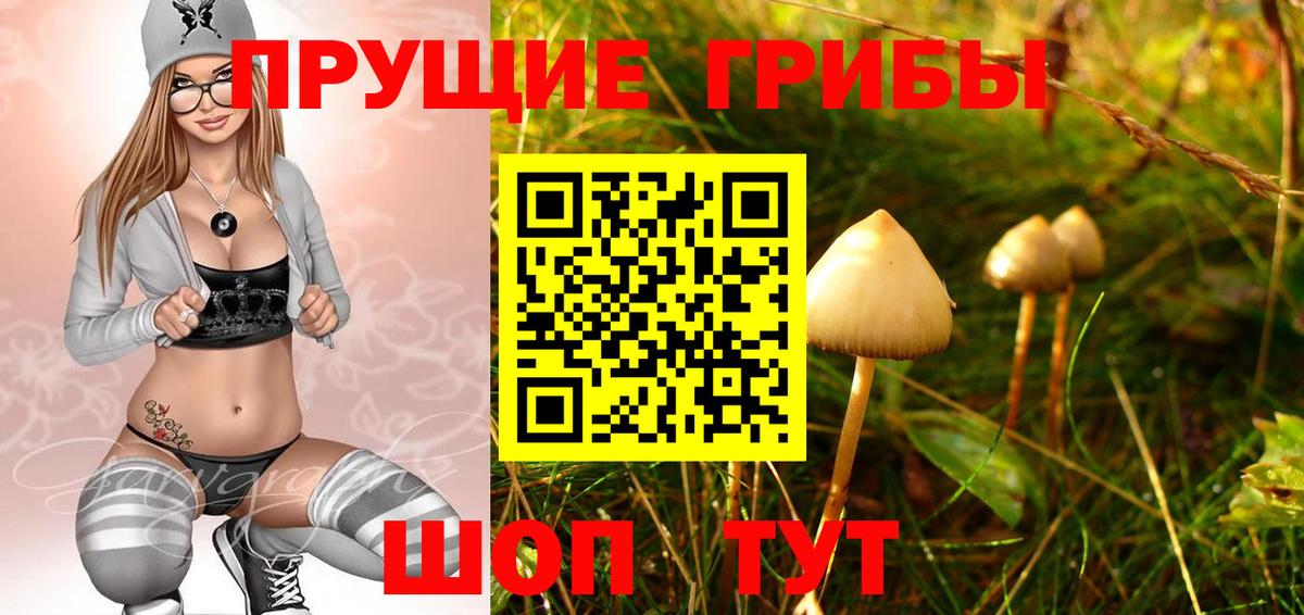 Псилоцибиновые грибы Psilocybe Лысьва