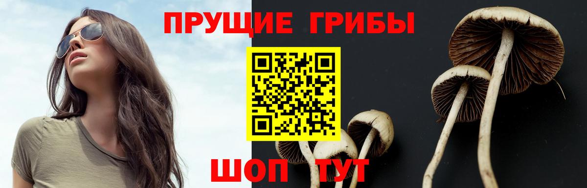 Псилоцибиновые грибы MAGIC MUSHROOMS  Галлюциногенные грибы мухоморы  Лысьва  Вход с VPN 