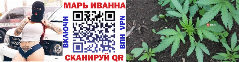 OMG ТОР  Лысьва  Каннабис планчик 